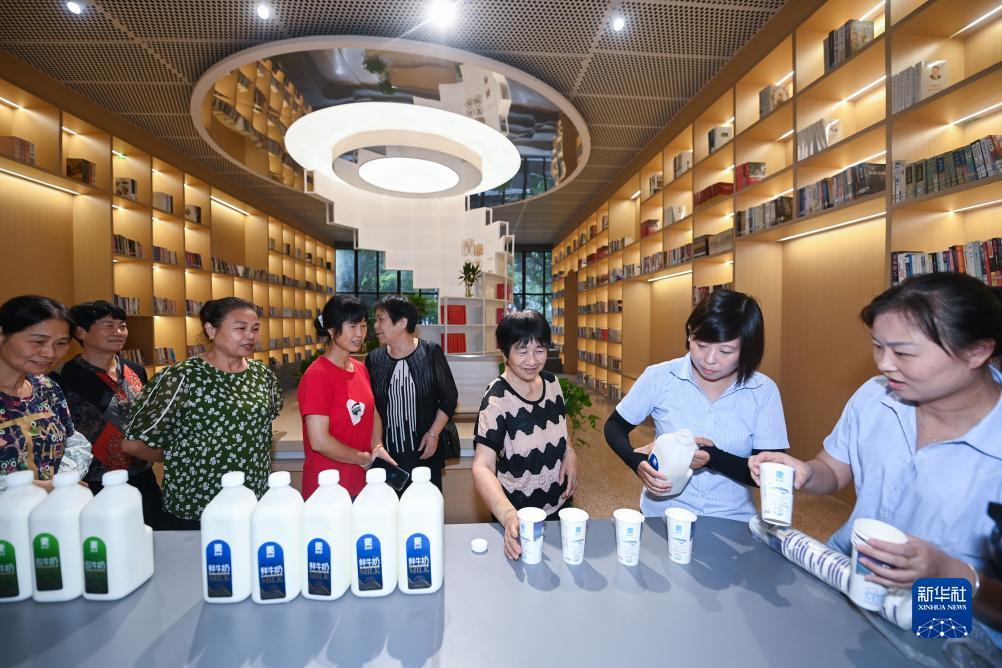 永利网投开户